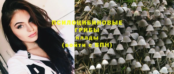 герыч Бородино