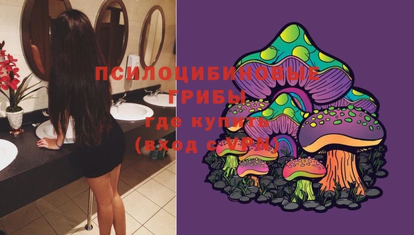 ПСИЛОЦИБИНОВЫЕ ГРИБЫ Верхнеуральск
