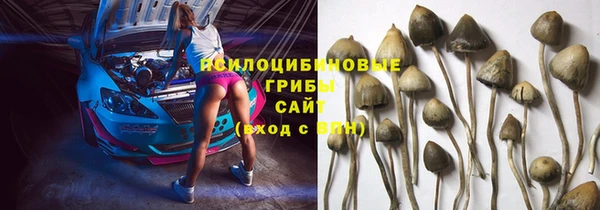 ПСИЛОЦИБИНОВЫЕ ГРИБЫ Верхнеуральск